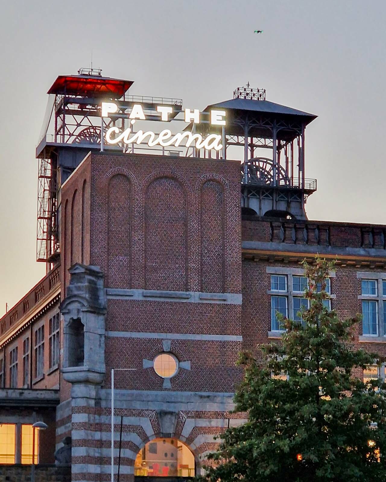 Belmont Atelier - Enseignes lumineuses