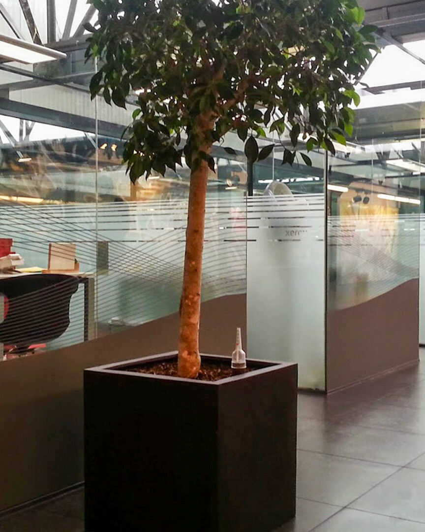 Vitrophanie et lettrage adhésif sur vitrines réalisés par Belmont Atelier.